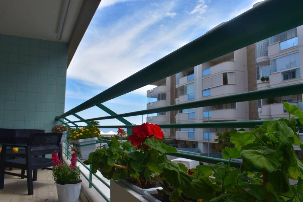 Donna Teresa Accomodation - Holiday House Monopoli Luaran gambar